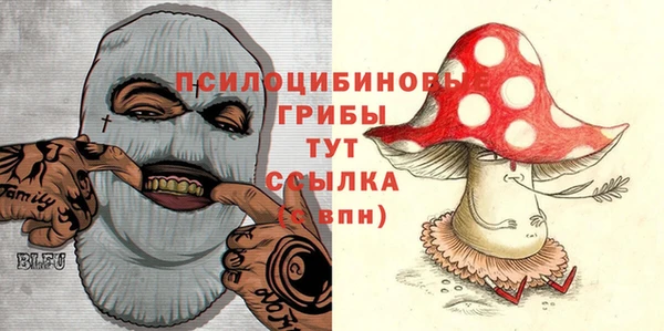 прущий лед Алексеевка