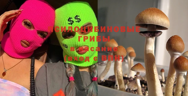 прущий лед Алексеевка