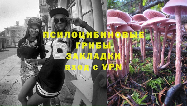 прущий лед Алексеевка