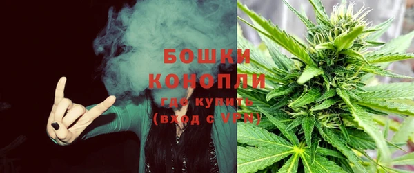 spice Алзамай