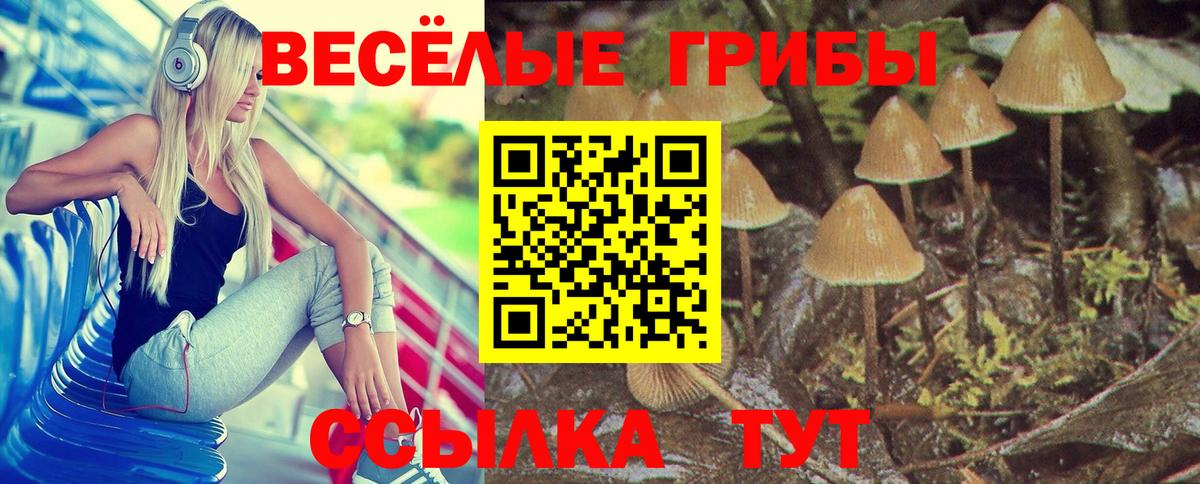 Псилоцибиновые грибы Magic Shrooms  Вход с VPN  Новоалександровск  Псилоцибиновые грибы Psilocybe 