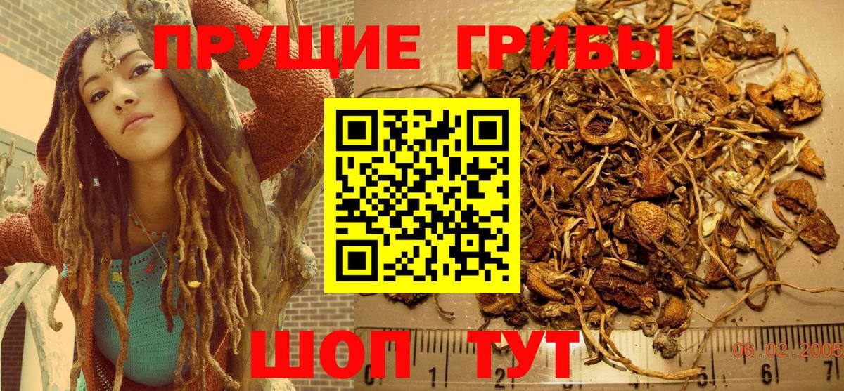 Меф   Новоалександровск  Вход с VPN  Метадон  Cocaine  А ПВП СК   Гашиш  Меф МЯУ МЯУ  Канабис 