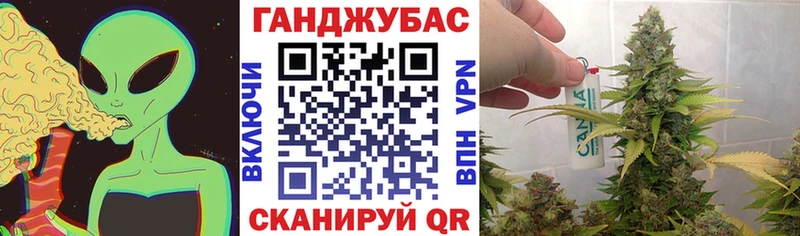 магазин  наркотиков  Новоалександровск  Марихуана ГИДРОПОН 